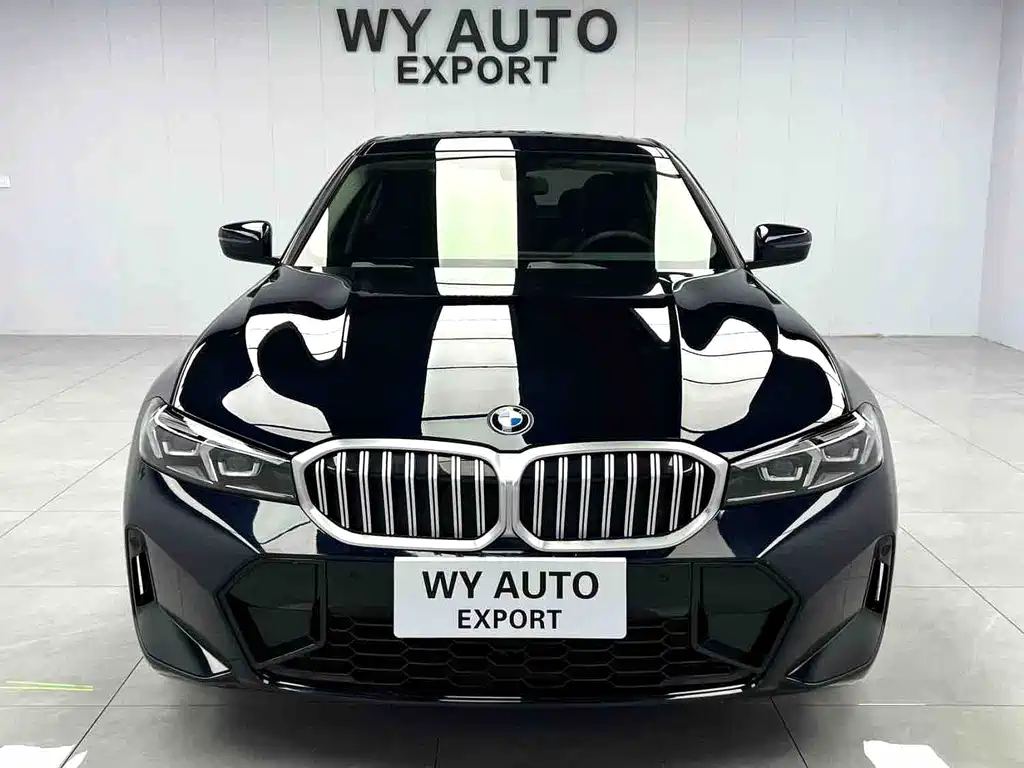 BMW 3 Series — миниатюра 2