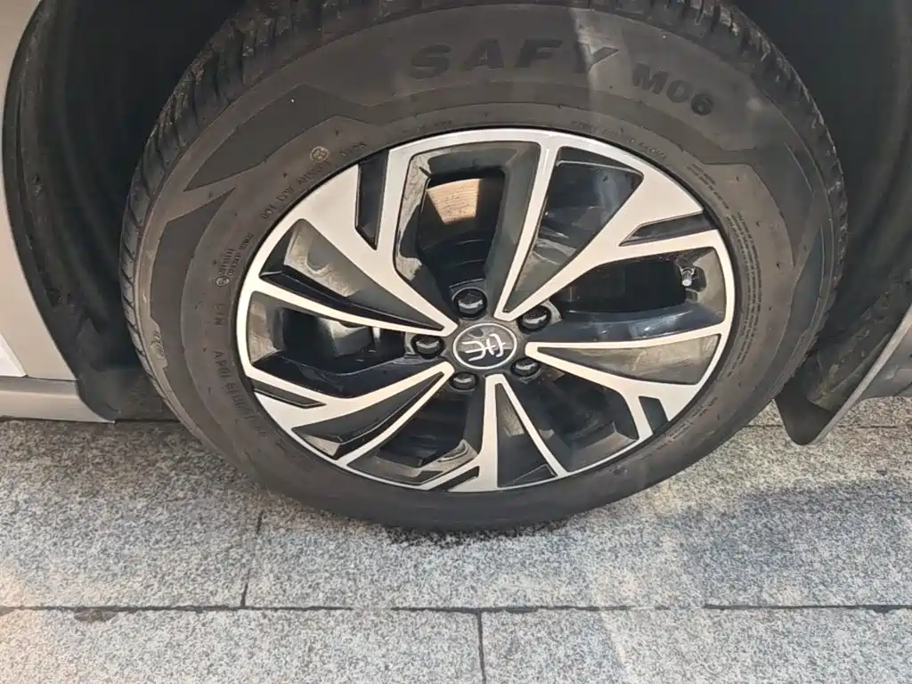 BYD Pro New Energy — миниатюра 23
