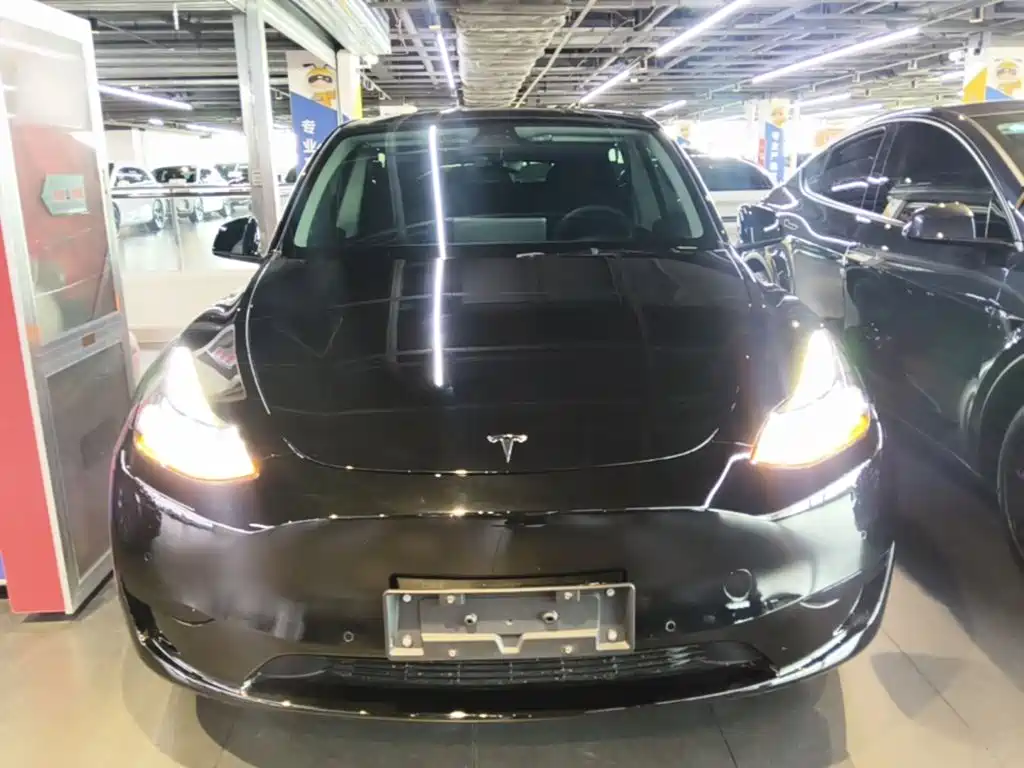 Tesla Model Y — миниатюра 3