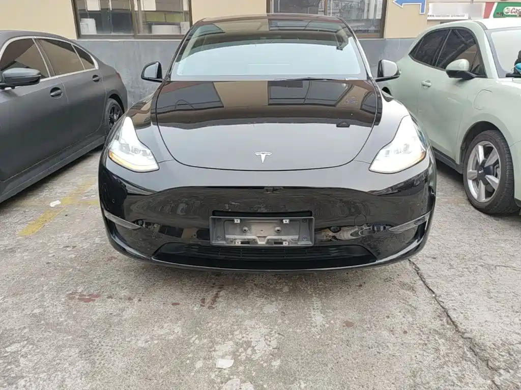 Tesla Model Y — миниатюра 3