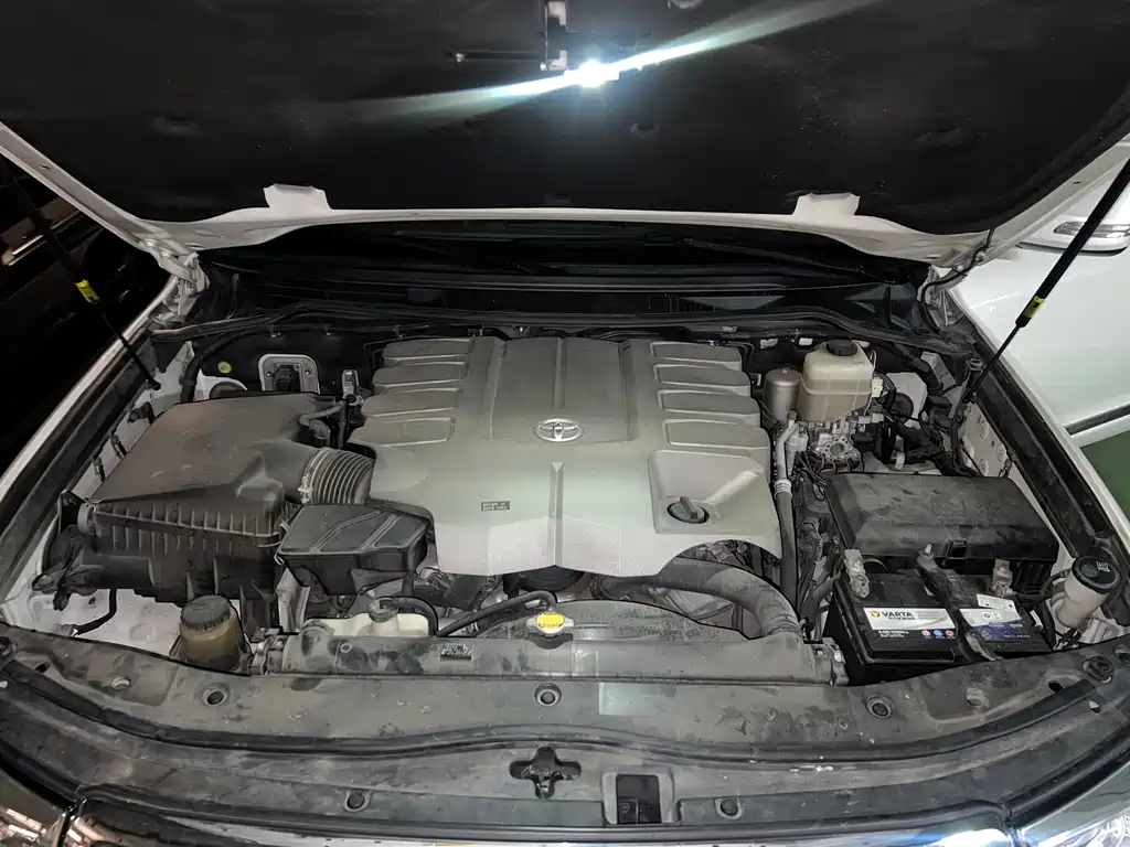 Toyota Land Cruiser 4.6L V8 Middle East Limited Edition, фото 23