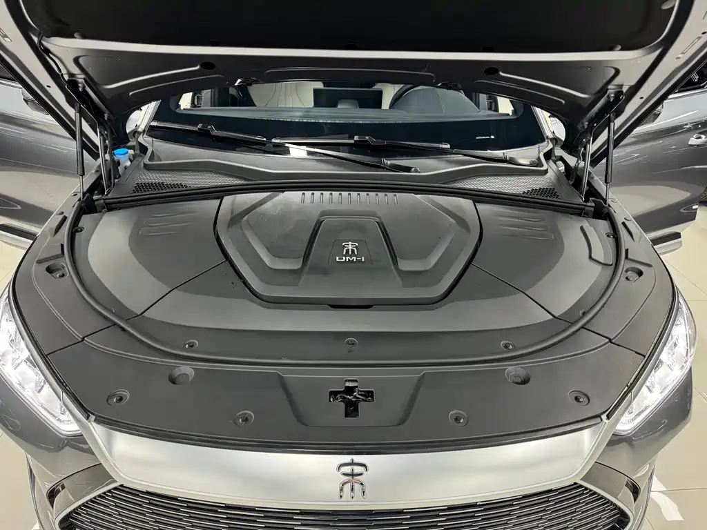 BYD PLUS New Energy — миниатюра 19