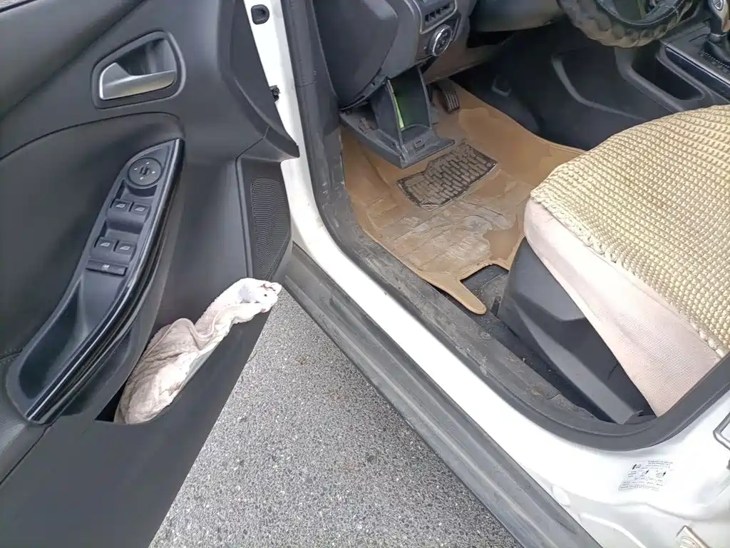 Ford Focus — миниатюра 12