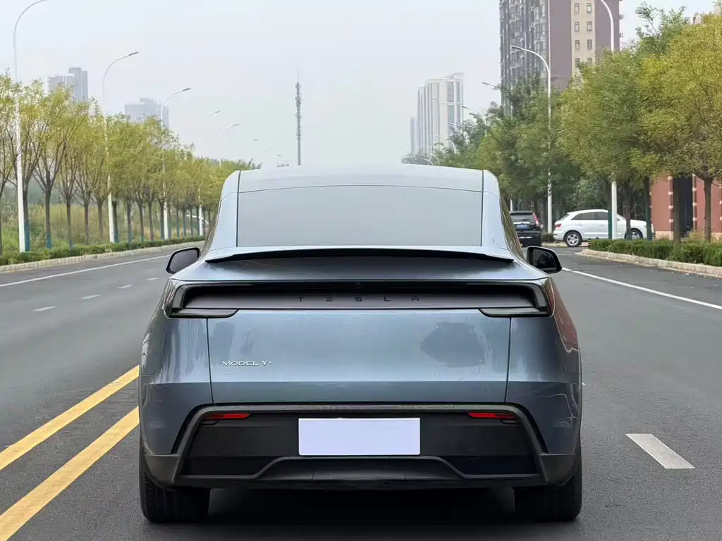 Tesla Model Y — миниатюра 8