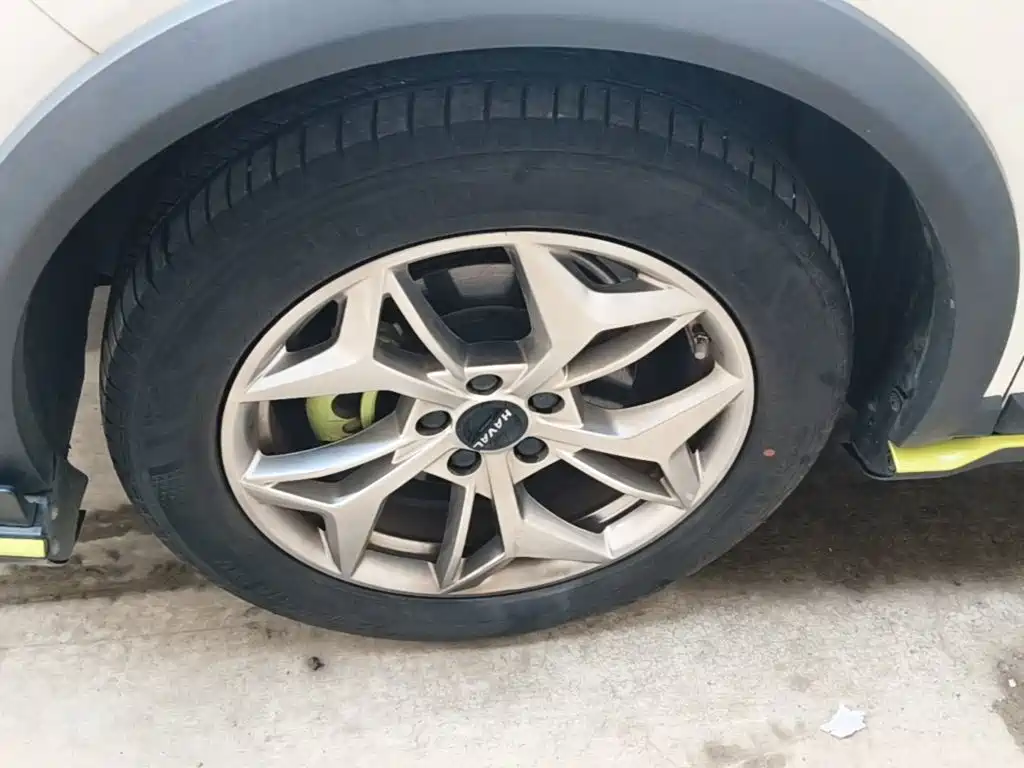 Haval Chitu — миниатюра 23