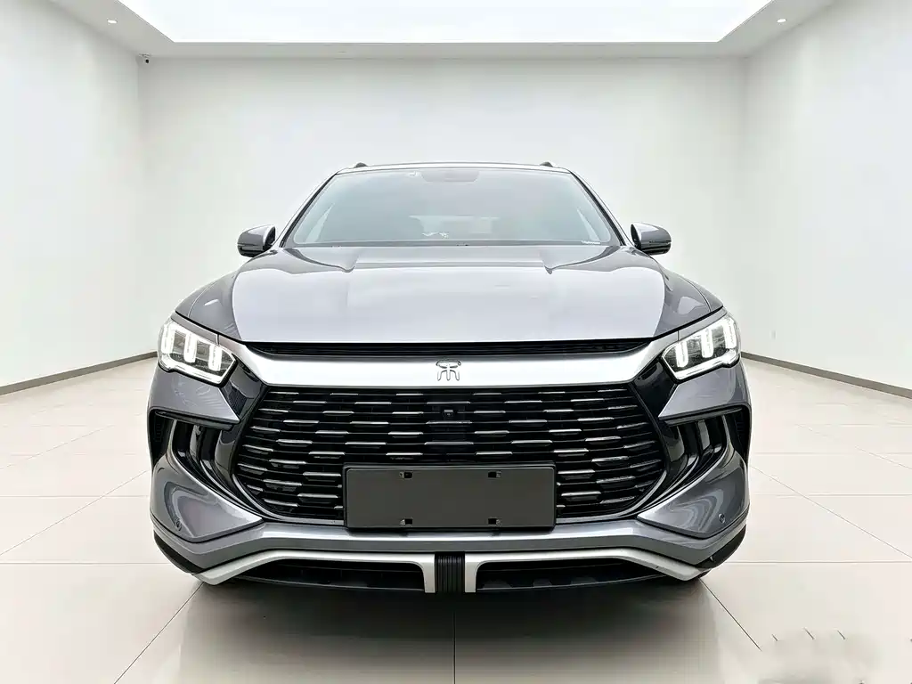 BYD Pro New Energy — миниатюра 2