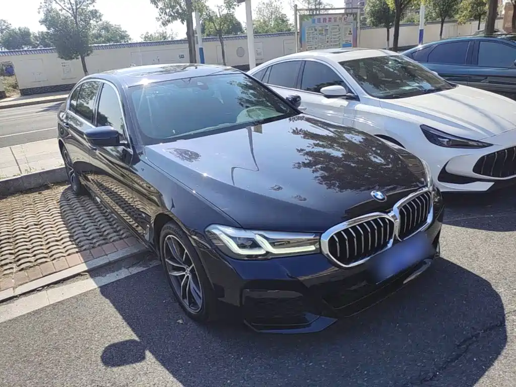 BMW 5 Series — миниатюра 4