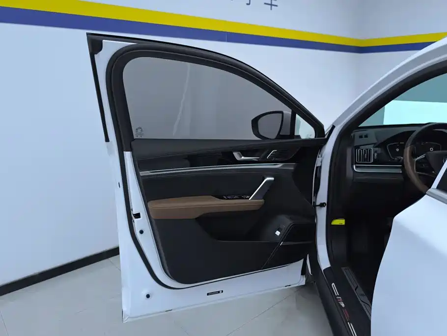 BYD Tang New Energy — миниатюра 7
