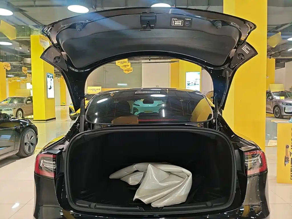 Tesla Model 3 — миниатюра 19