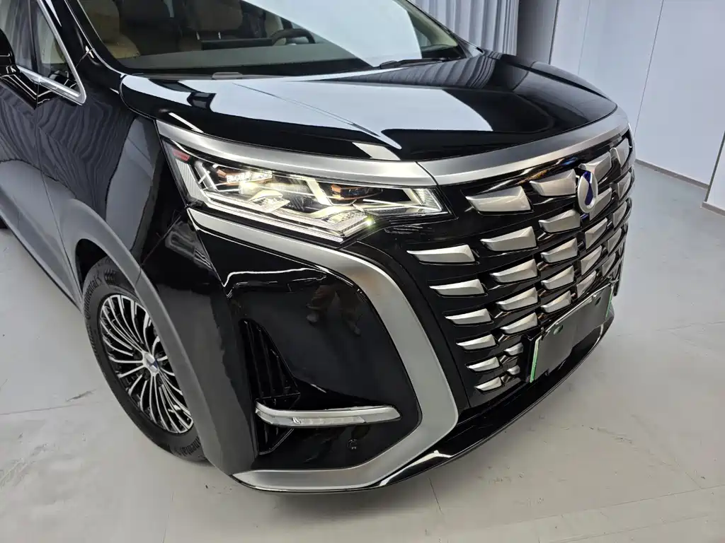 Denza Denza D9 — миниатюра 20