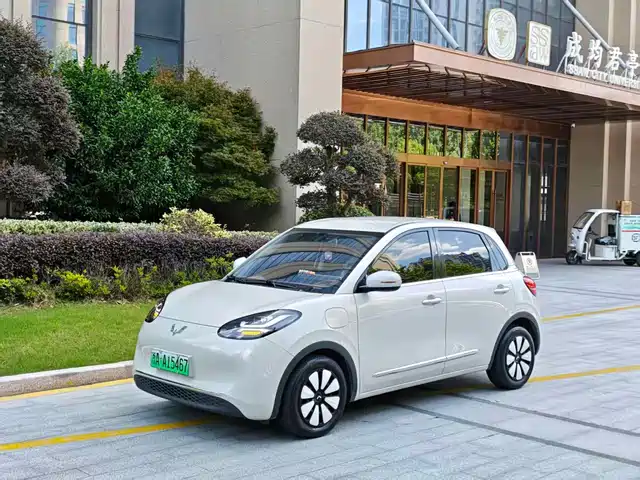 2025 Wuling Motors Binguo