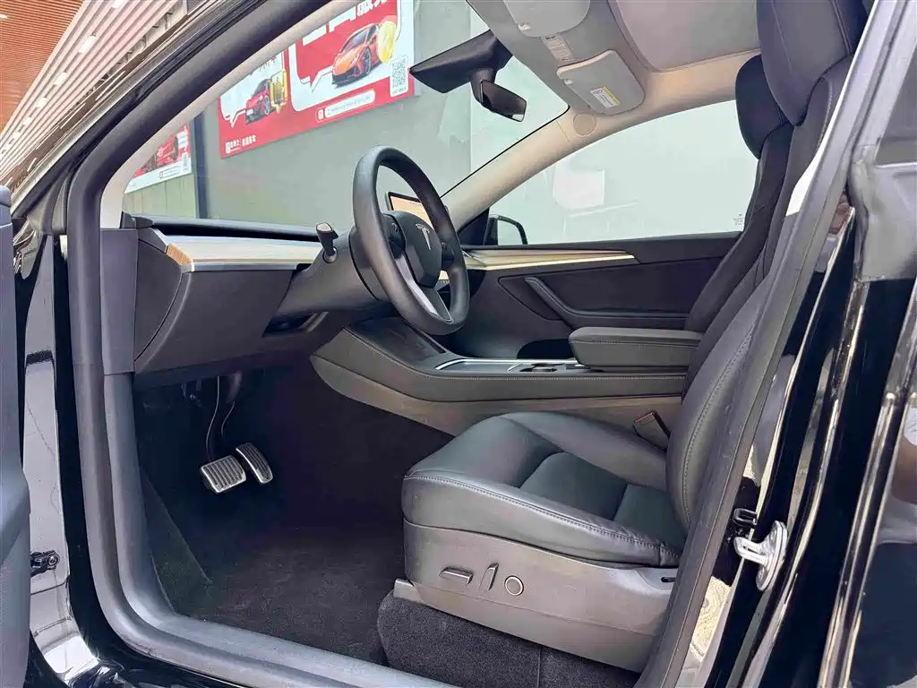 Tesla Model Y — миниатюра 4