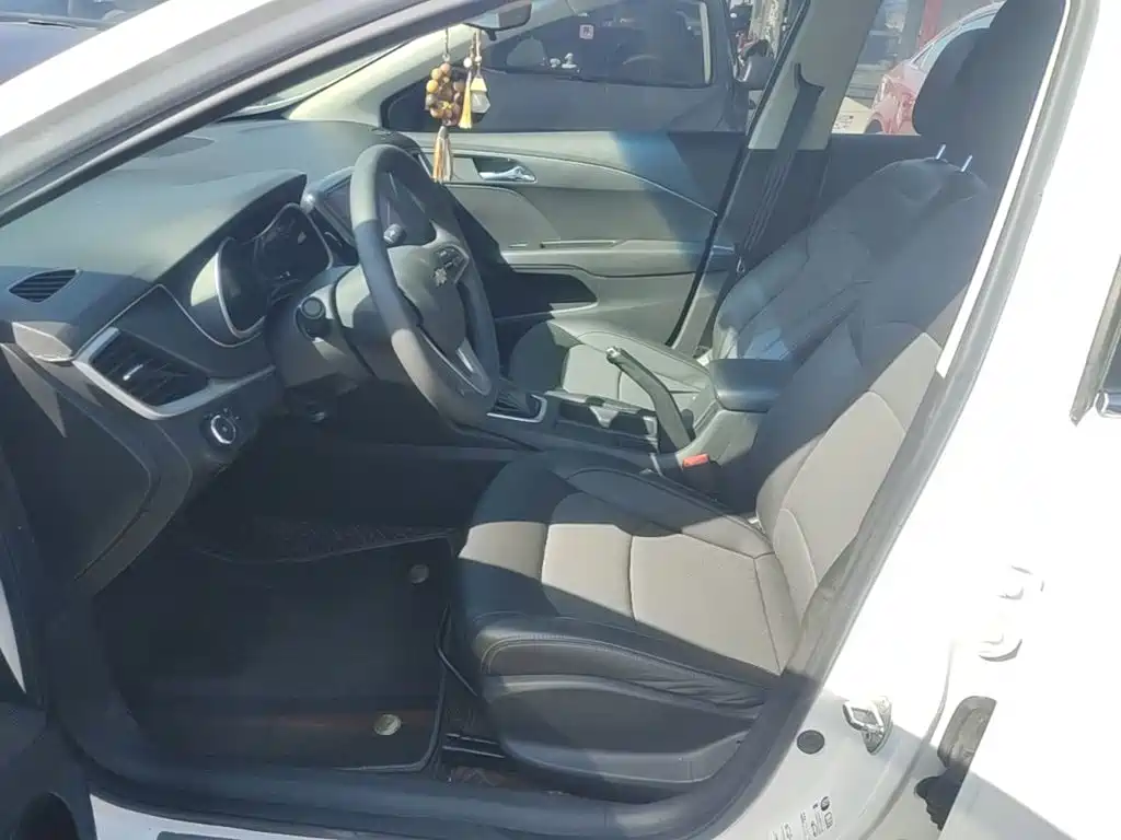 Chevrolet Cavalier — миниатюра 15