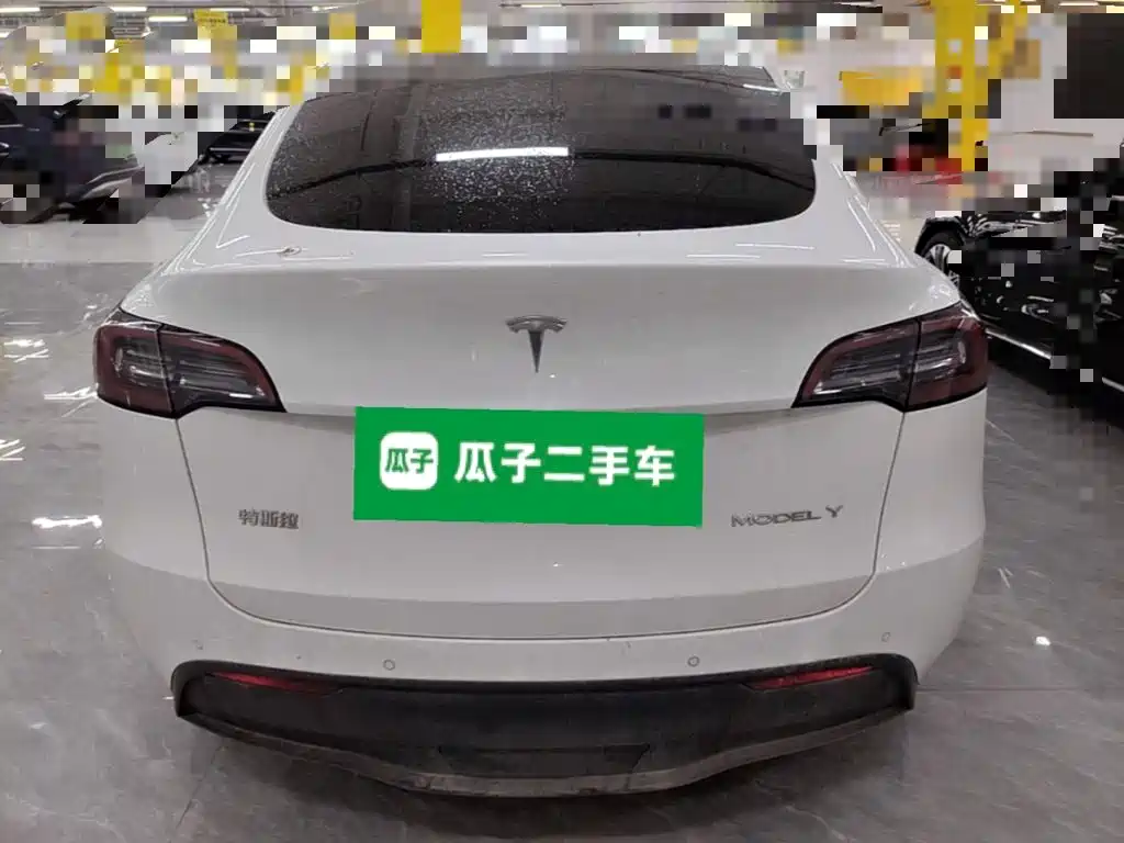 Tesla Model Y — миниатюра 6