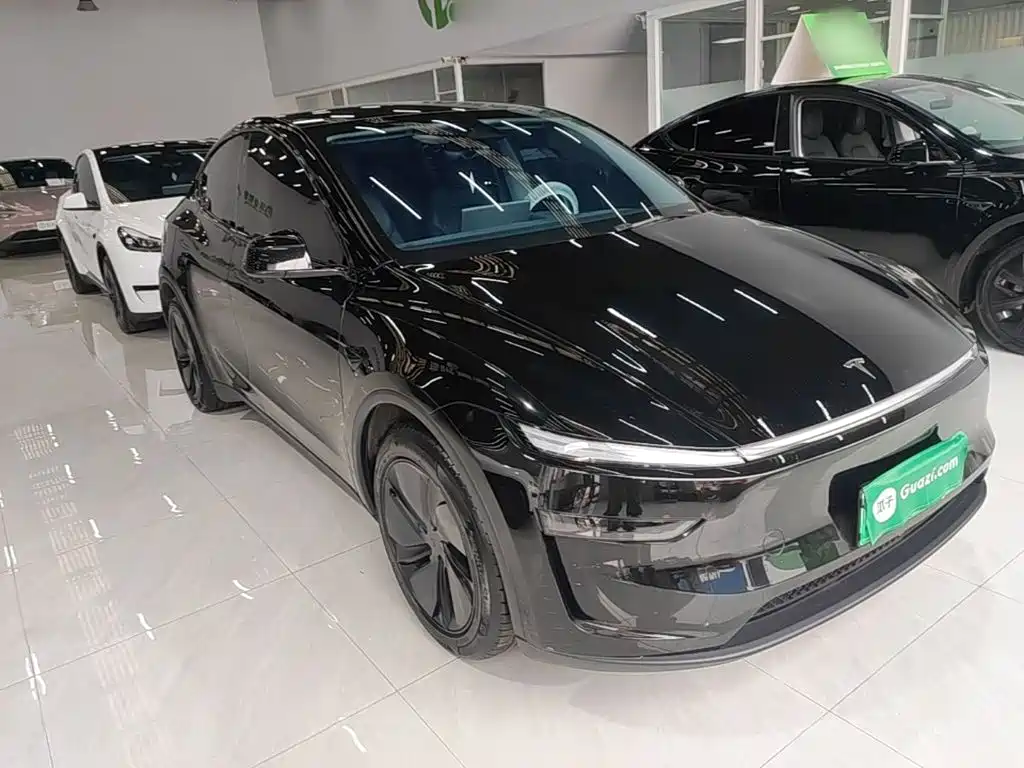 Tesla Model Y — миниатюра 4