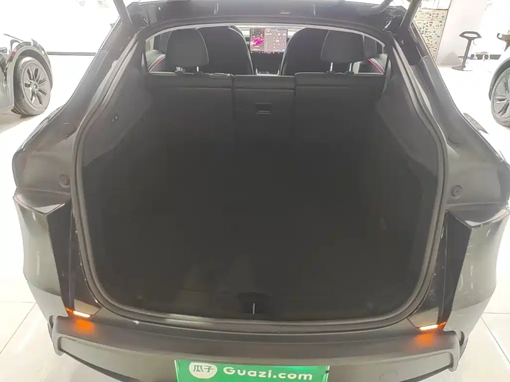 Tesla Model Y — миниатюра 19