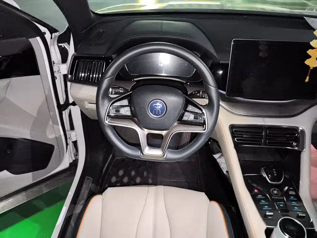 BYD PLUS New Energy — миниатюра 6
