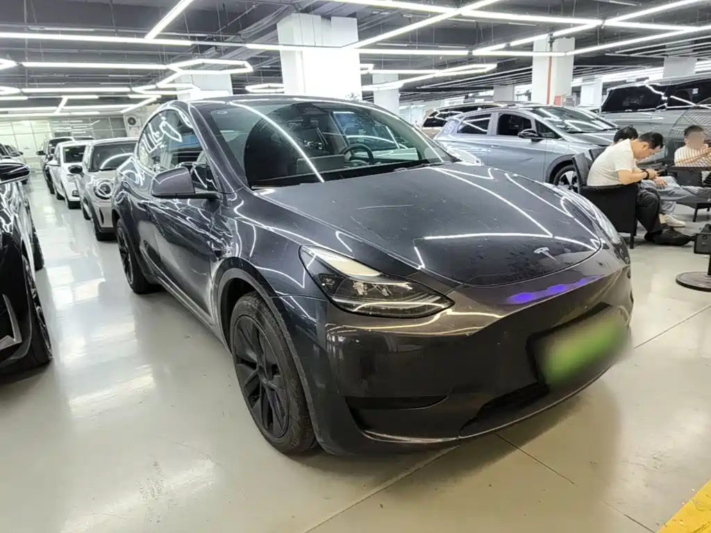 Tesla Model Y — миниатюра 4