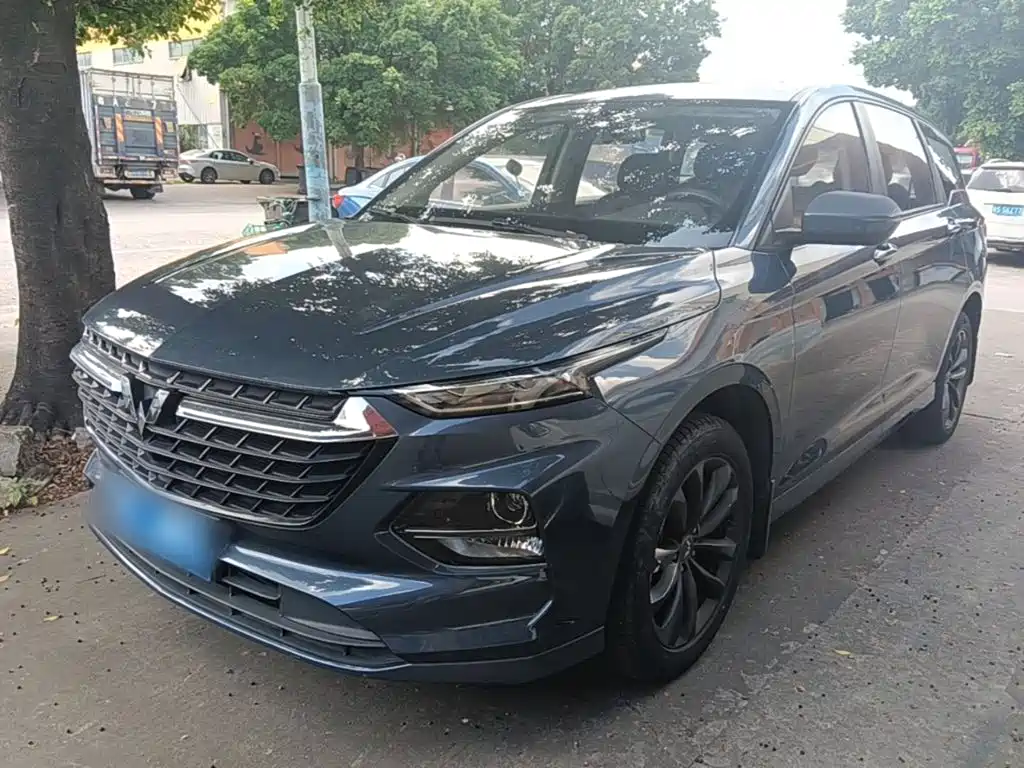 Wuling Victory