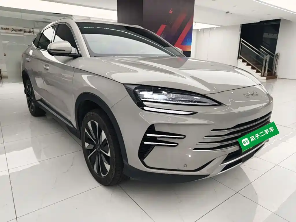 BYD PLUS New Energy — миниатюра 4