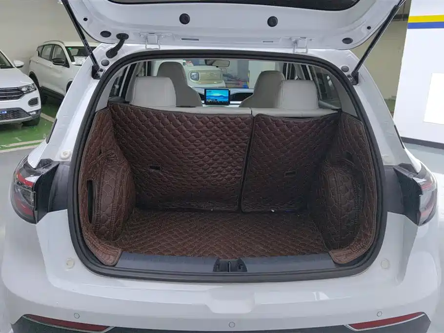 Geely Geome Xingyuan 2025 310km