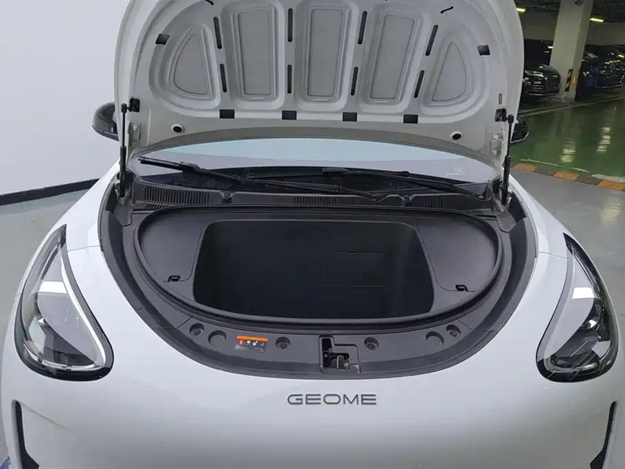 Geely Geome Xingyuan 2025 310km