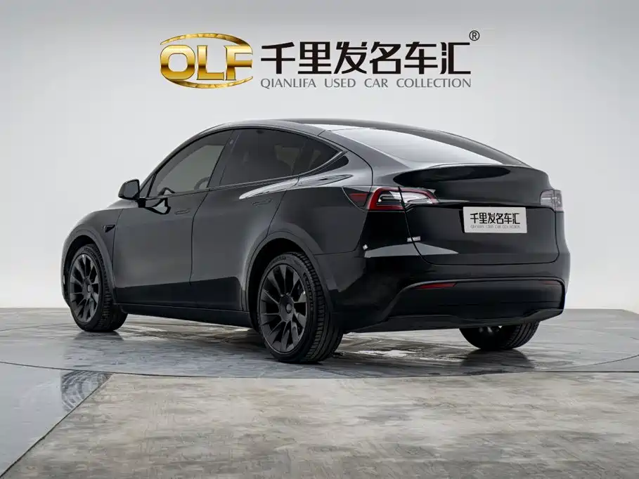 Tesla Model Y — миниатюра 8