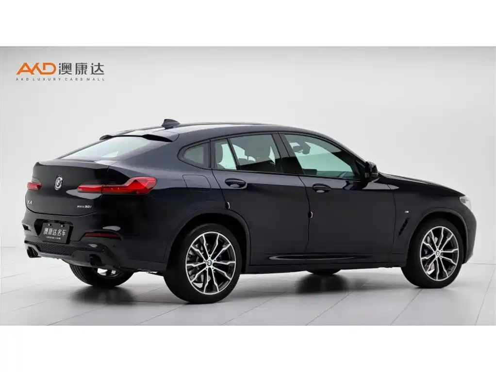 BMW X4 2021 xDrive 30i M Sport