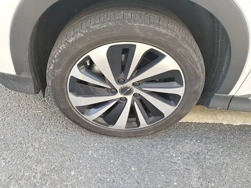 BYD PLUS New Energy — миниатюра 23