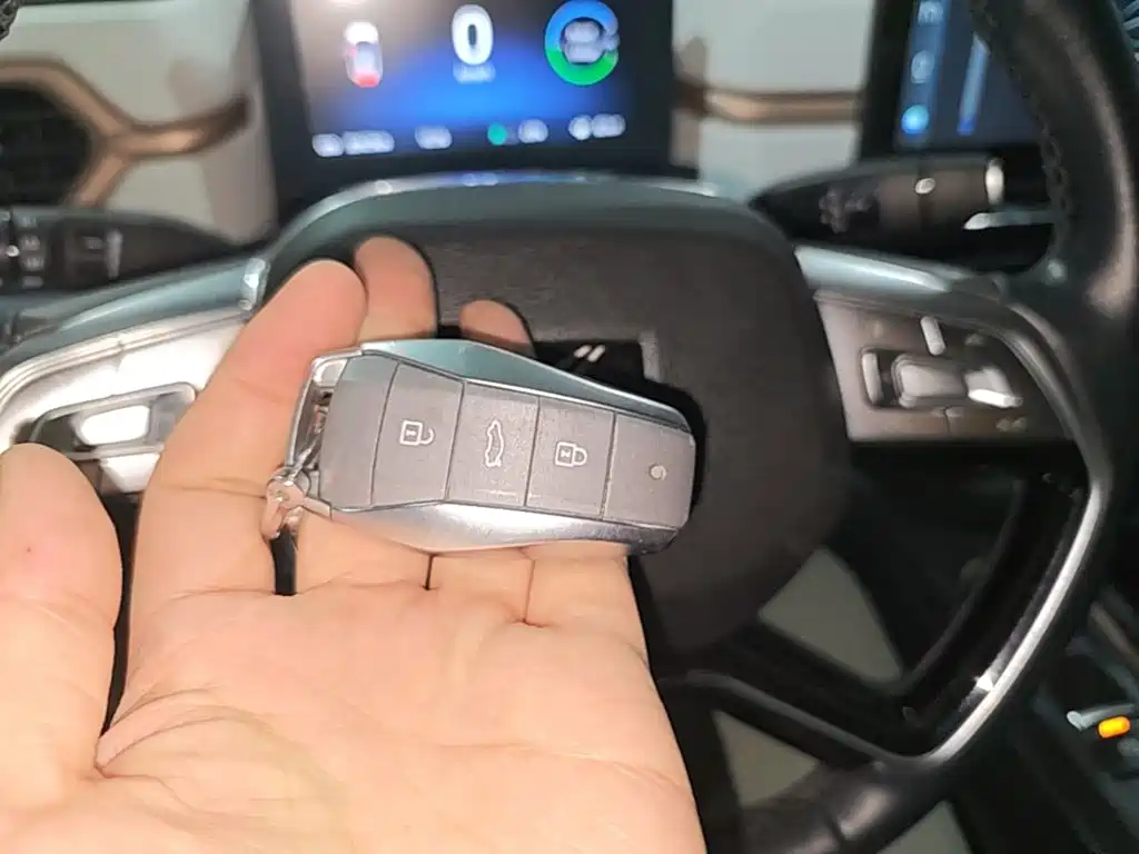 SOL Huaxianzi — миниатюра 9