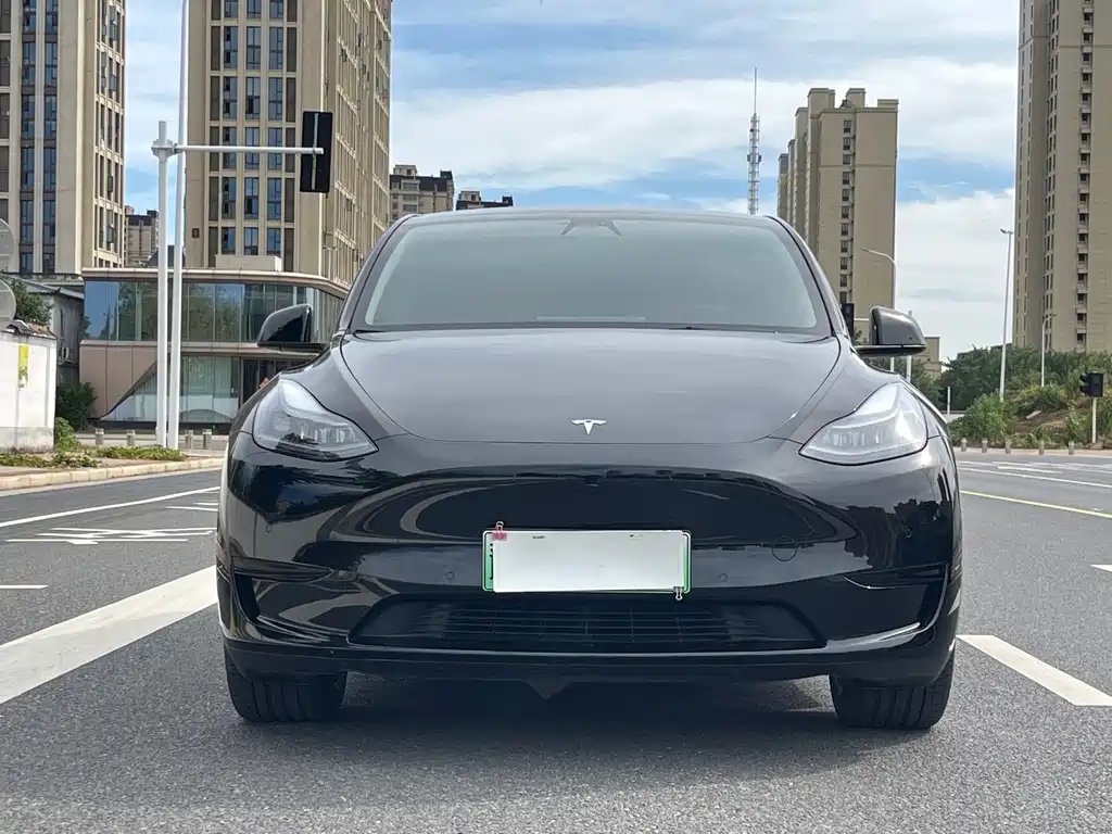 Tesla Model Y — миниатюра 2