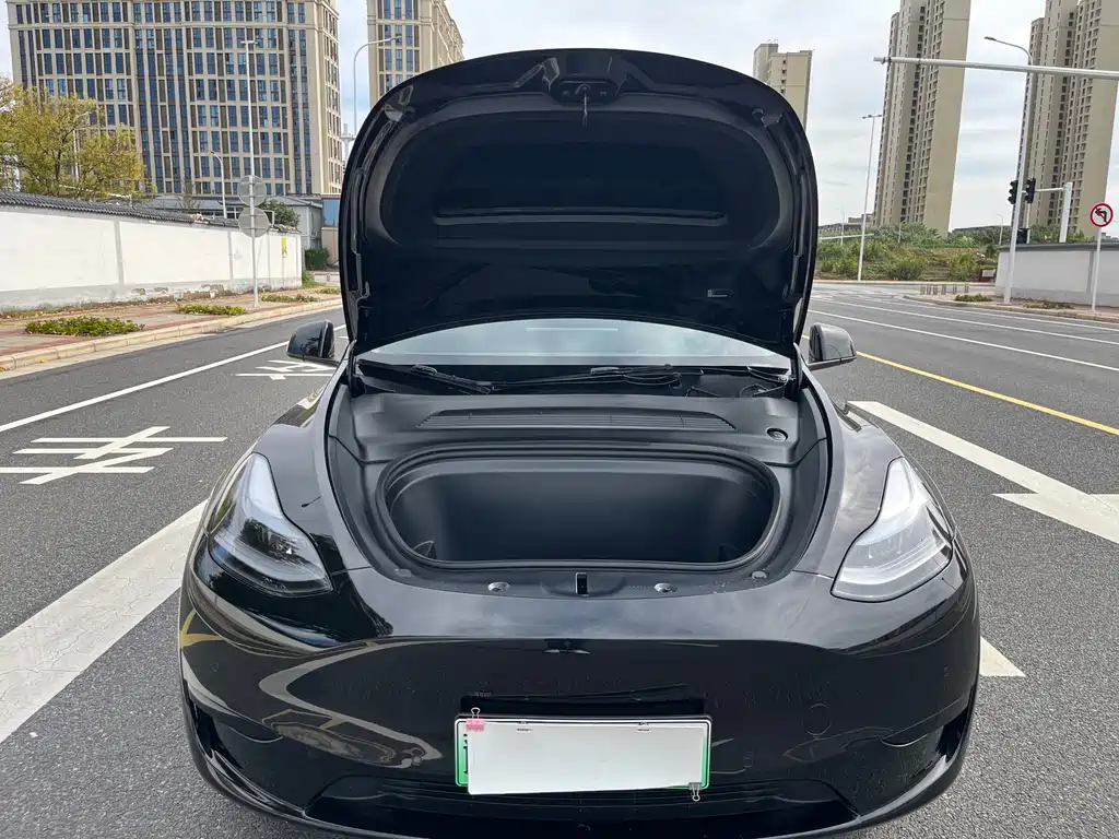 Tesla Model Y — миниатюра 13