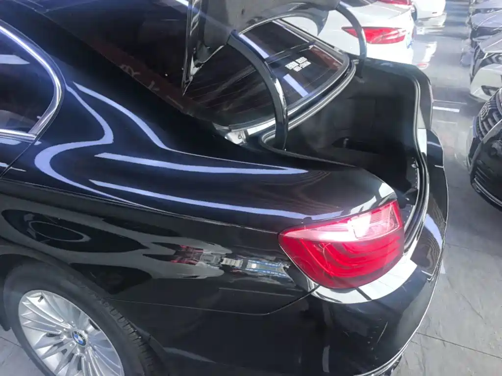 BMW 5 Series 5 2014 525Li Lead