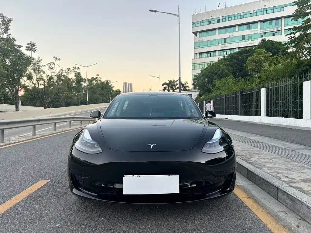 Tesla Model 3 — миниатюра 2