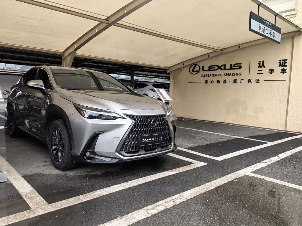 LEXUS NX NEW ENERGY