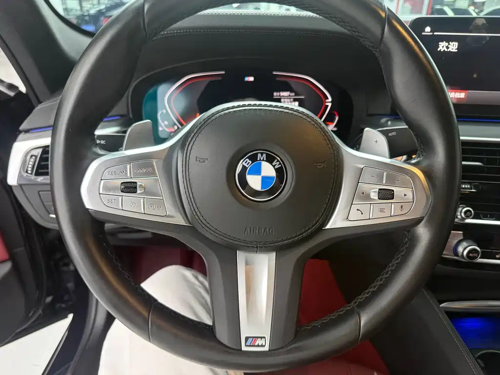 BMW 5 Series — миниатюра 10
