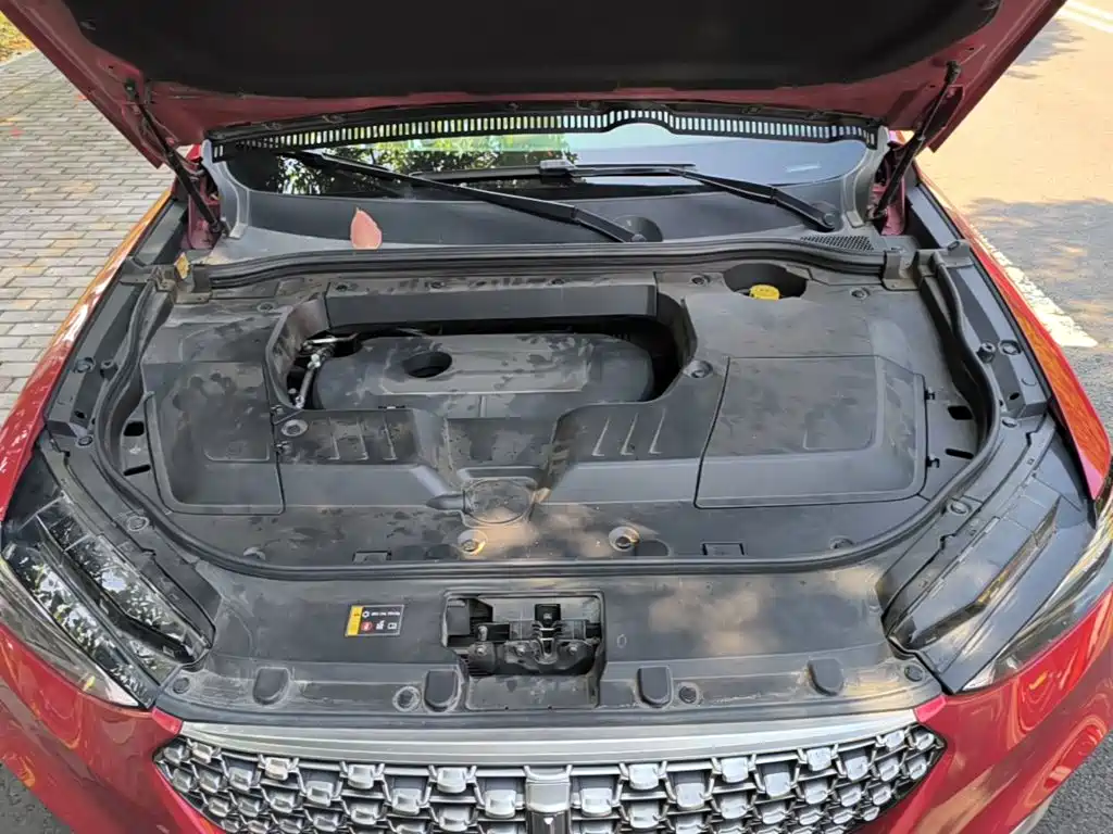 Wey Wey VV6 — миниатюра 20