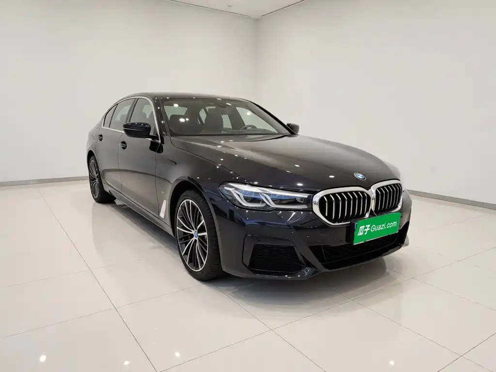 BMW 5 Series — миниатюра 3