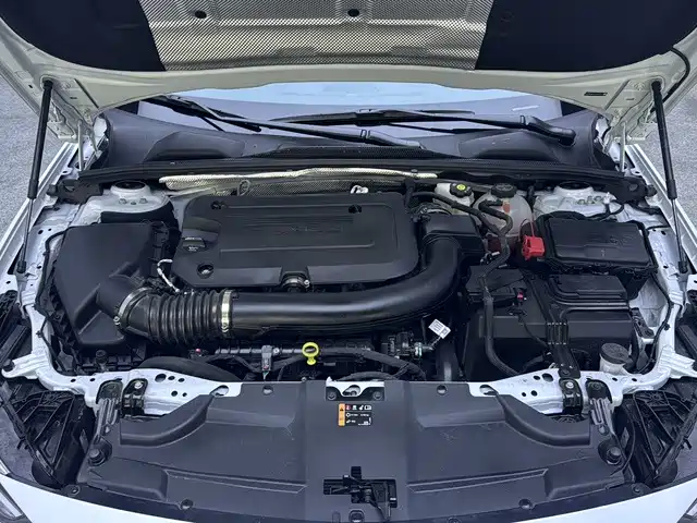 Buick Regal — миниатюра 19
