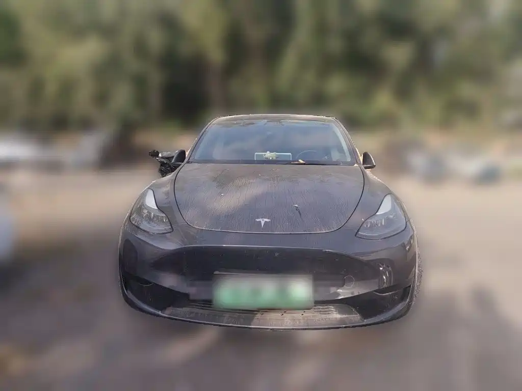 Tesla Model Y — миниатюра 23
