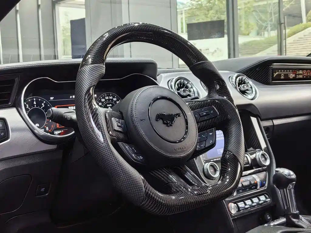Ford Mustang — миниатюра 11