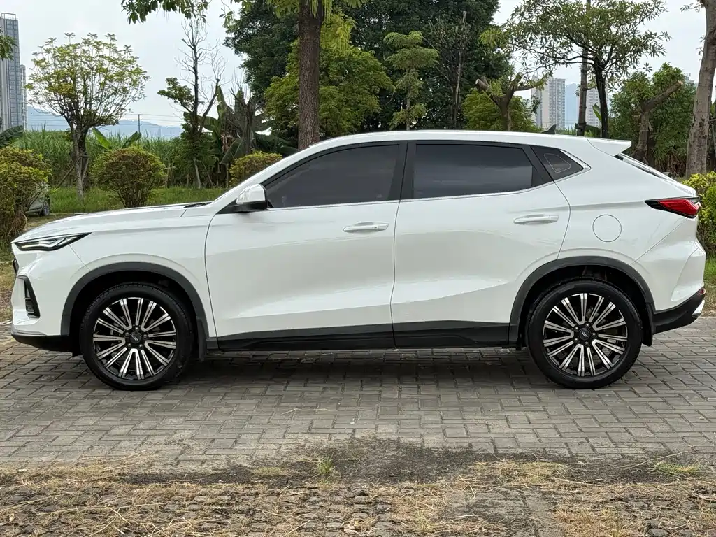 Oshan Oushang X5 — миниатюра 4