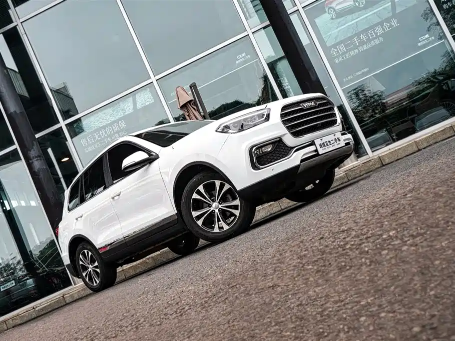 MUSTANG MOTORS MUSTANG T80