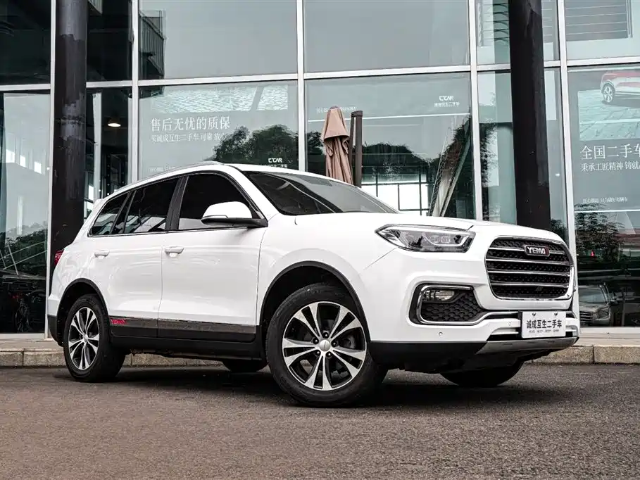 MUSTANG MOTORS MUSTANG T80