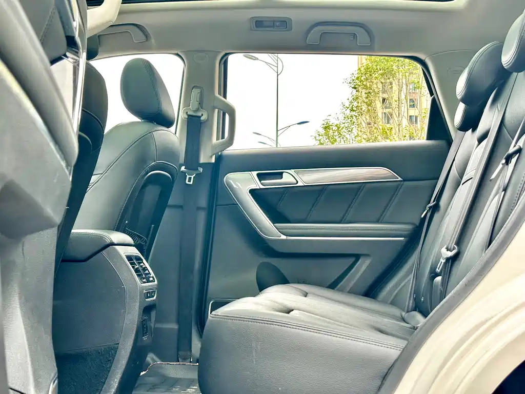 Haval H6 Coupe Blue Label 2.0T Auto 2WD Premium Type, фото 37