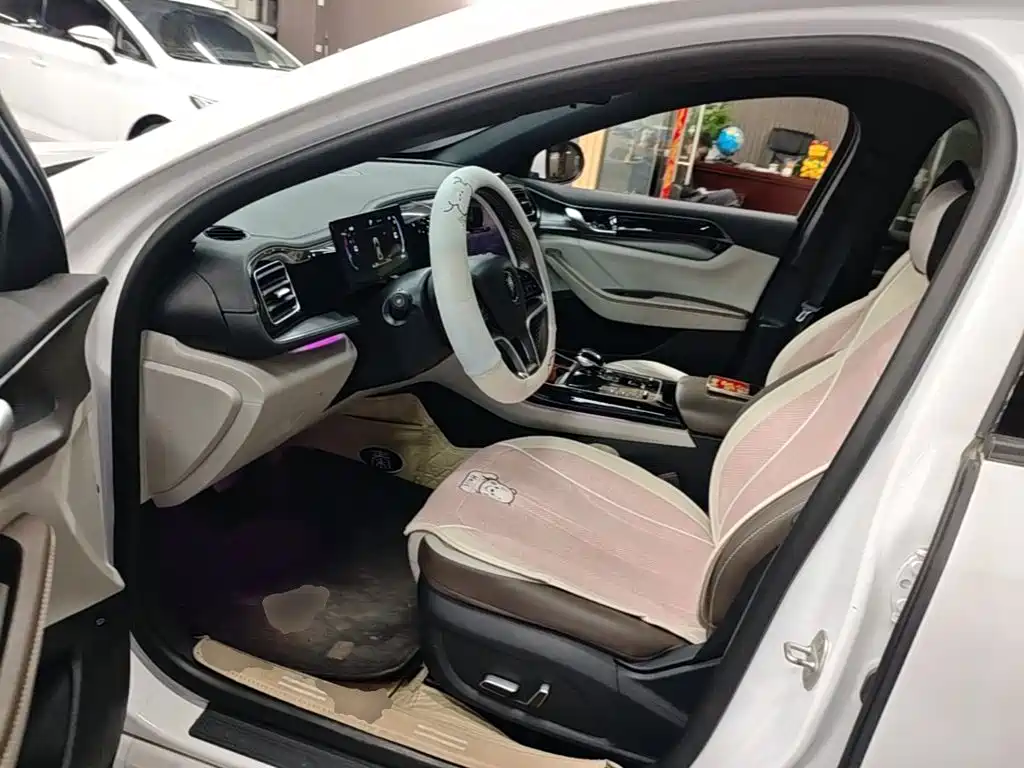 BYD Qin PLUS — миниатюра 15
