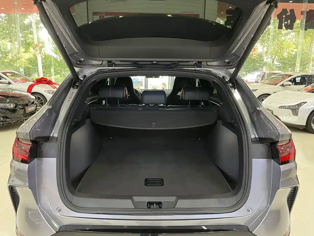 BYD PLUS New Energy — миниатюра 14