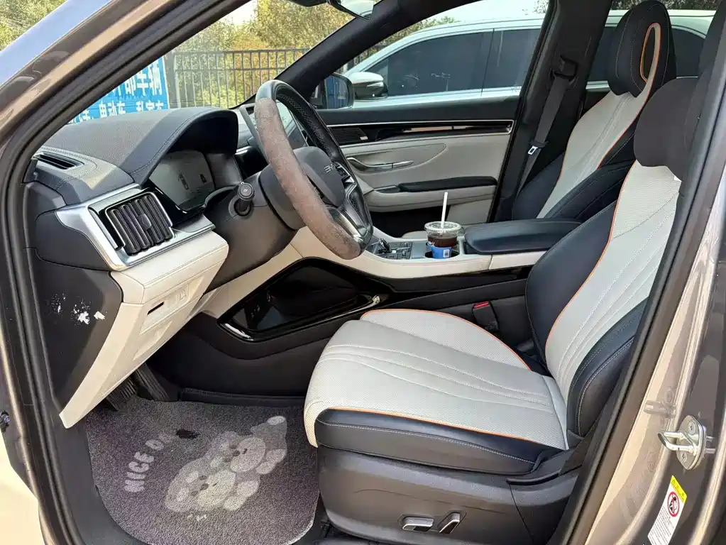 BYD PLUS New Energy — миниатюра 7