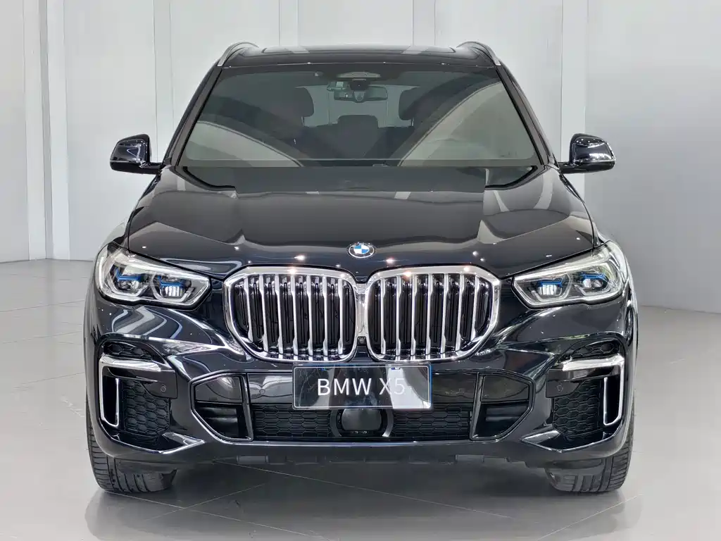 BMW X5 — миниатюра 2