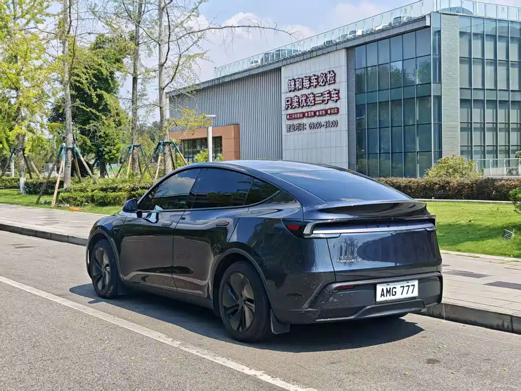 Tesla Model Y — миниатюра 11